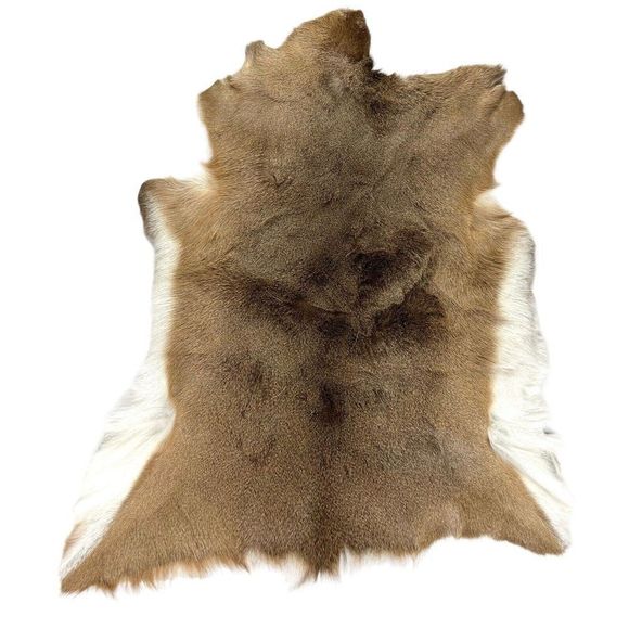 Unbranded Accents Vintagewhitetail Deer Skin Pelt Hide Rug 45 X 3